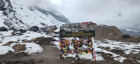 Gallery photo of Srinidhi Travels